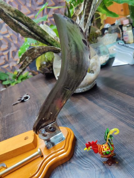 10 inch original steel boti with mahogany wood base